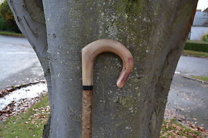 Walking Sticks - Ram's Horn Shepherds Crook.