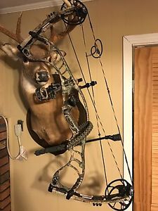 Hoyt Faktor 30