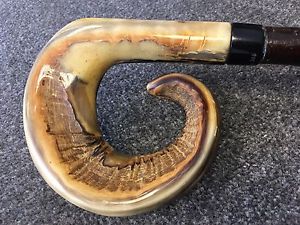 RAMS HORN WALKING STICK