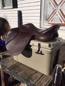 English Saddle Bates Elevation WITH CAIR PACKAGE 17.5   REDUCED