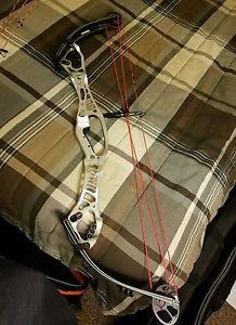Hoyt Podium x 40