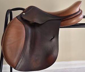16.5  Antares Hampton Classic Saddle - Very good condition