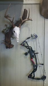 Hoyt Carbon Element Bow