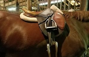 2010 SEO1 3C CWD, 17.5" seat, 4" tree