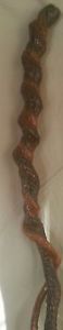 twisted walking stick One of kind