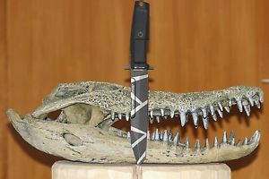 Extrema Ratio Fulcrum Geocamo