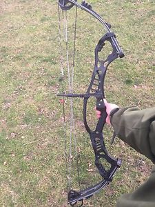 Hoyt Podium X Elite 37 31.5" DL
