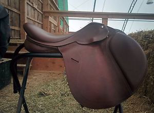 16.5" Collegiate Convertible Diploma