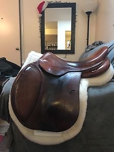 Antares Calfskin jumping saddle 17.5" medium wide