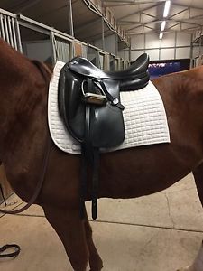 Amerigo Vega Dressage Saddle