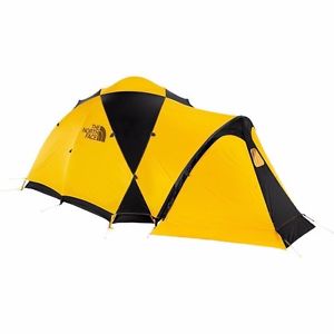 NEW NWT THE NORTH FACE BASTION 4 TENT SUMMIT GOLD / ASPHALT GREY 4 PERSON