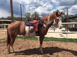 Circle Y Saddle 16inch, wide