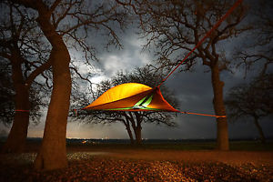 Tentsile Stingray Tente De L’arbre Arbre Tente Cabane Toit 3 Adultes Treetent
