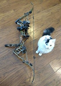 RARE C. P. ONEIDA Black Eagle Compound Bow BE LF 42.5 50/70 ARROW Pollington 33