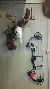 PSE Archery Evolve compound bow