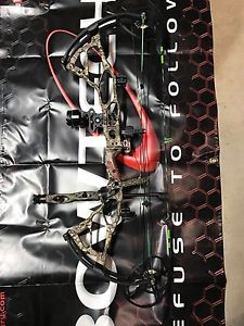 bowtech btx 31