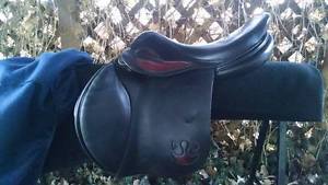 17.5" Bruno Delgrange Partition Rare Black/Red Combo New Tree!