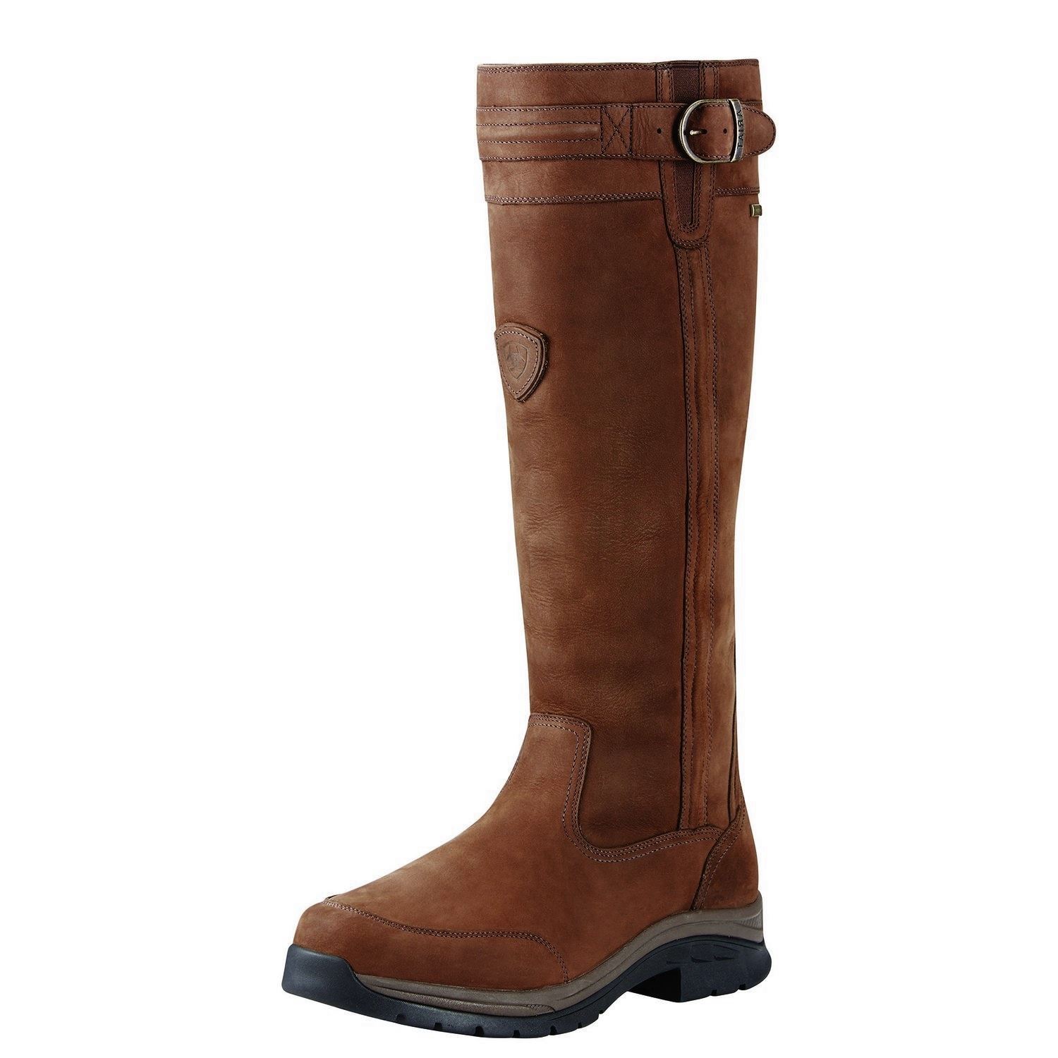 Ariat Torridon Insulated GTX Men's Boot