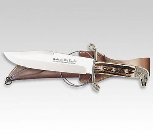 Linder BOWIE DE L’AIGLE, poli, Coquilles de Hirschhorn, 25 cm