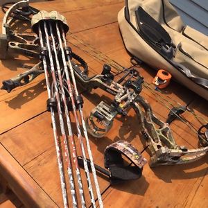 Bear Arena 30 Complete Setup