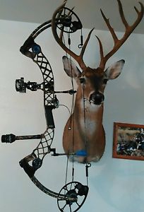 Mathews Chill r compound bow Sword B stinger QAD