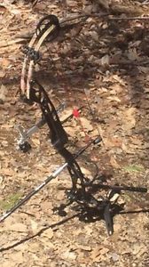 PSE Dominator Max Me Cams