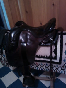 ortho flex saddle