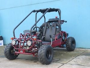 NEW Youth Go Kart 110cc Mini Kid Buggy AUTO w/ Reverse FREE SHIPPING SALE Buggy