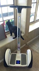 Segway (Ninebot Elite)