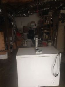 Beer cooler and storage