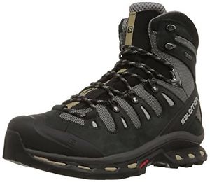Tg 43 1/3 EU| Salomon - Quest 4D 2 Gtx, Scarpe Da Trekking da uomo, Black, 43 1/