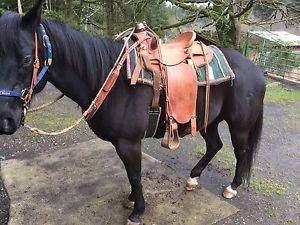 Wade Saddle Shop Made Buckaroo Cowboy Rope Included W/ Cinches , Pulling Collar