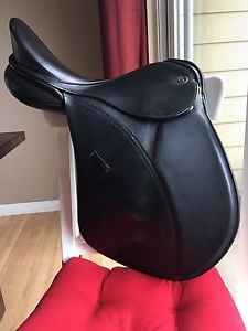 Kieffer Saddle