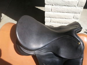 Isabell Werth by Bates, 17 1/2 in