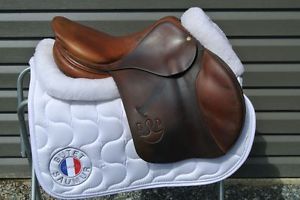 **LOVELY** 2010 Bruno Delgrange 17" Partition LARGE LOGO Medium Tree 4A flap