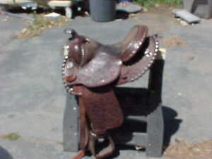 CIRCLE Y SADDLE 15 1/2"  ARABIAN? FANCY SILVER LACE LOOK NICE WITH EXTRAS