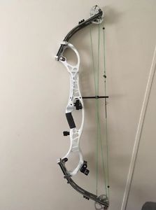 hoyt pro comp elite