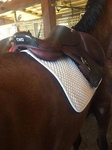 Saddle,  CWD 2015 2GS 17.5" full calf saddle, Gently used