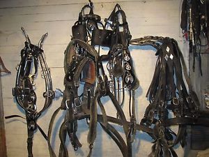 Draft HorseTeam Show  Harness With Lines & Bridles Very Nice Lower Price