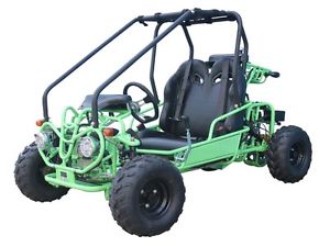 Youth Go Kart 110cc gk 110 taotao motor automatic with reverse sale w/ Free ship