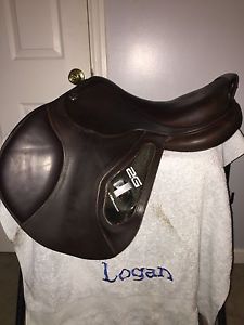 GORGEOUS CWD 2G 17"- medium tree- wonderful condition!