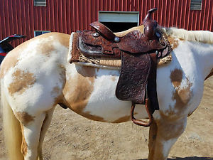 15" Longhorn Western saddle and Breast Collar