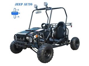 Go Kart 125cc Mini Jeep Kid Buggy AUTO w/ Reverse FREE SHIPPING SALE !