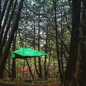 Tensile Tree Tent 3 person