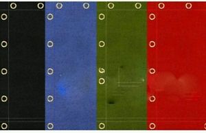 Boxing Ring Canvas Top Quality 18X 18 Black,Blue half WHITE GREEN Wrestling