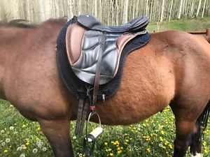 Sensation Dressage Trail treeless saddle w/ Skito DryBack pad
