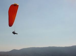 Paraglider Advance Sigma 5 / 31