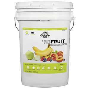 Augason Farms Freeze-Dried Fruit Variety Pail (4 lb., 2 oz.)