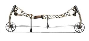2016 Mathews HTR 28" or 29"  DL 70# Limbs