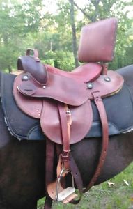 Saddle Endurance / Special Needs Custom Built